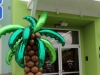 pollotropical-palm-tree