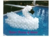 pool-swan-jpg
